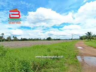 出售 土地 在 Ko Chan, Chon Buri