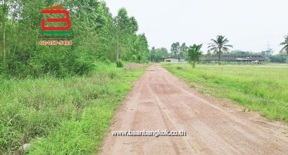 Terreno en venta en Ko Chan, Chonburi