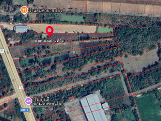 For sale land in Wat Bot, Phitsanulok