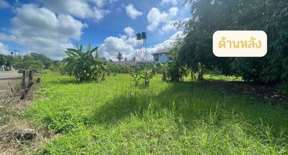 Terreno en venta en San Sai, Chiang Mai