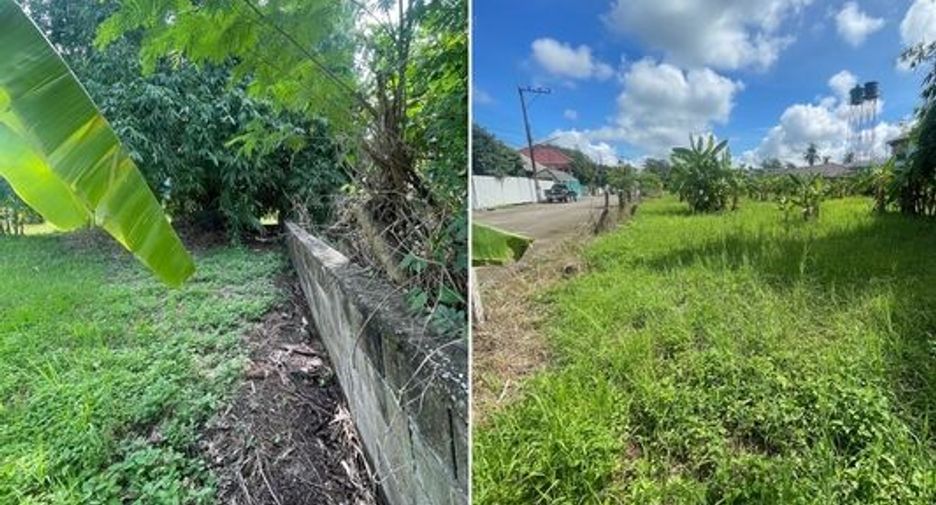 Terreno en venta en San Sai, Chiang Mai