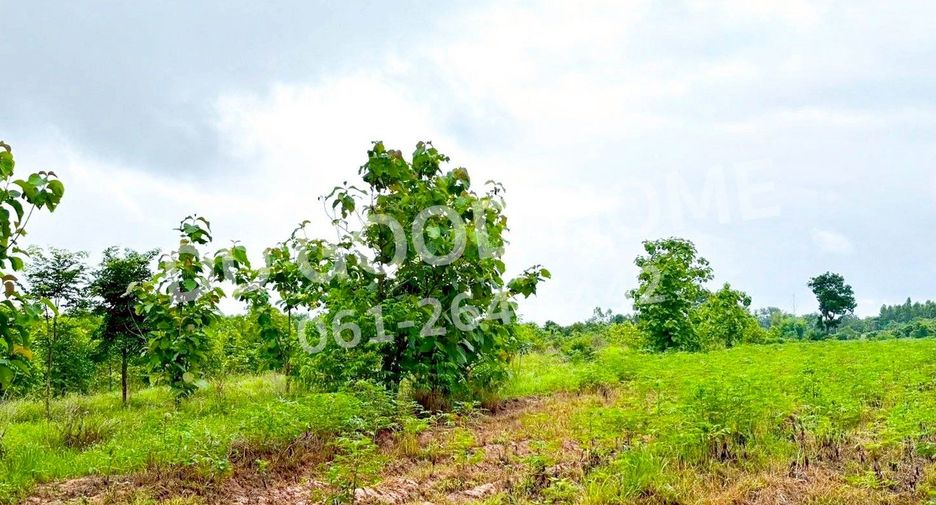 Terreno en venta en Mueang Sa Kaeo, Sa Kaeo