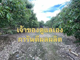 Продажа Участок в Мае Щанг, Чианг Маи