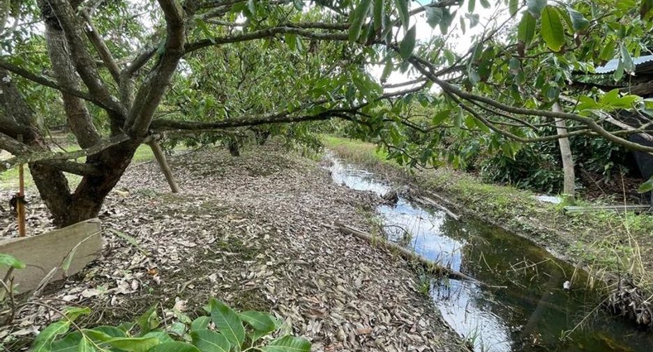 For sale land in Mae Wang, Chiang Mai