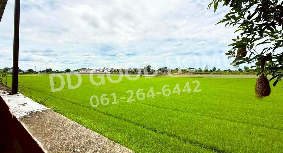 出售 4 卧室 独立屋 在 Lat Lum Kaeo, Pathum Thani