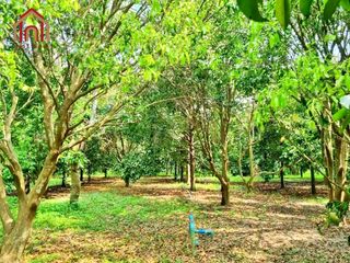 For sale land in Mueang Prachinburi, Prachin Buri