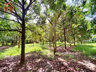 For sale land in Mueang Prachinburi, Prachin Buri