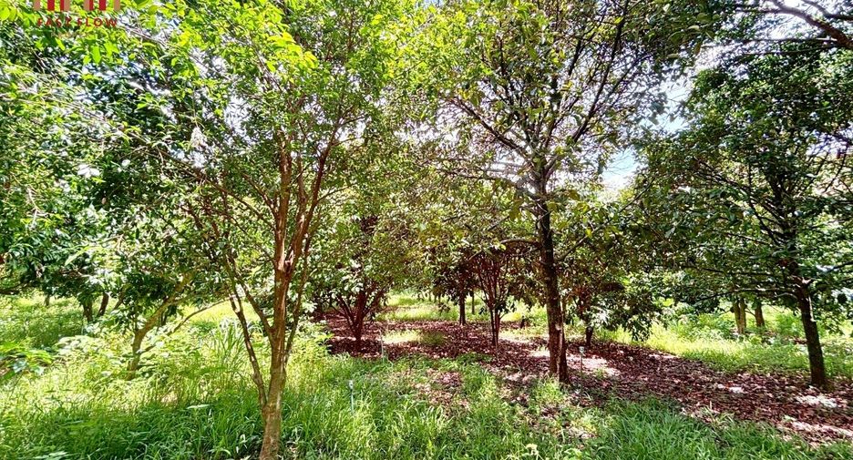 出售 土地 在 Mueang Prachin Buri, Prachin Buri