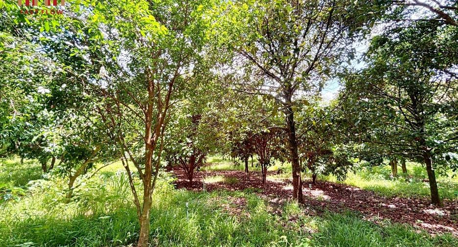 出售 土地 在 Mueang Prachin Buri, Prachin Buri