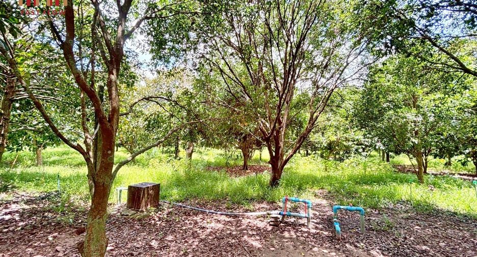 出售 土地 在 Mueang Prachin Buri, Prachin Buri