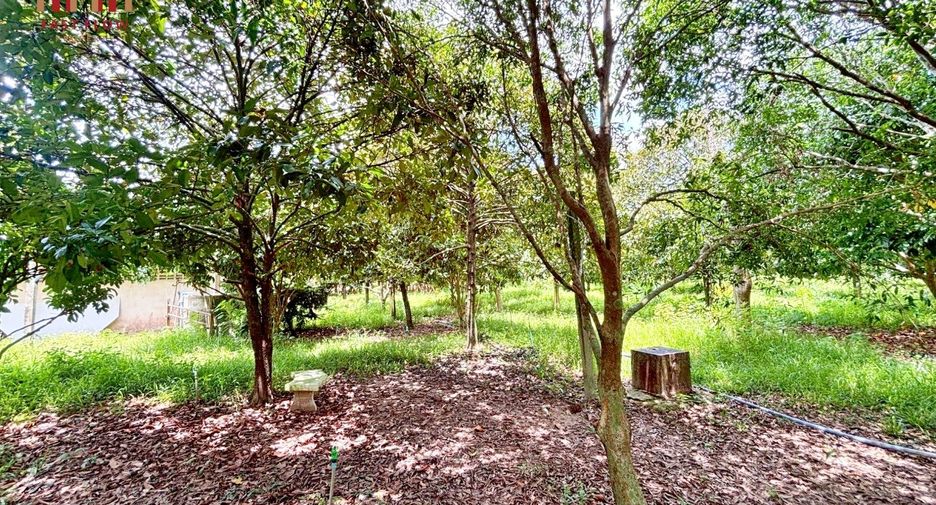出售 土地 在 Mueang Prachin Buri, Prachin Buri
