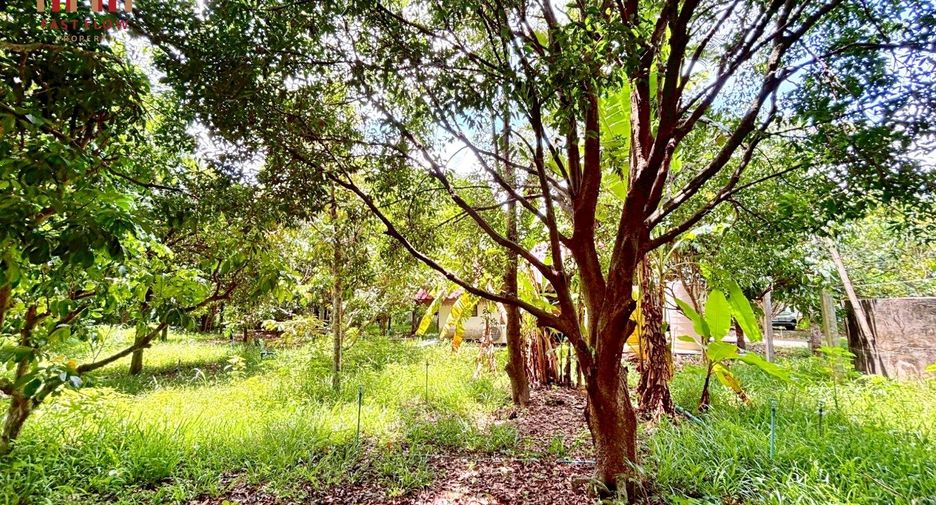 出售 土地 在 Mueang Prachin Buri, Prachin Buri