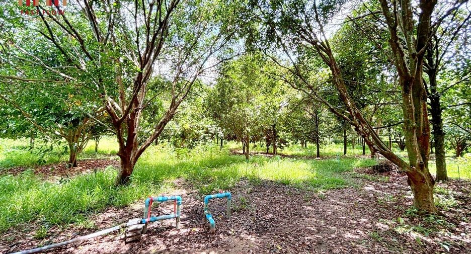 出售 土地 在 Mueang Prachin Buri, Prachin Buri