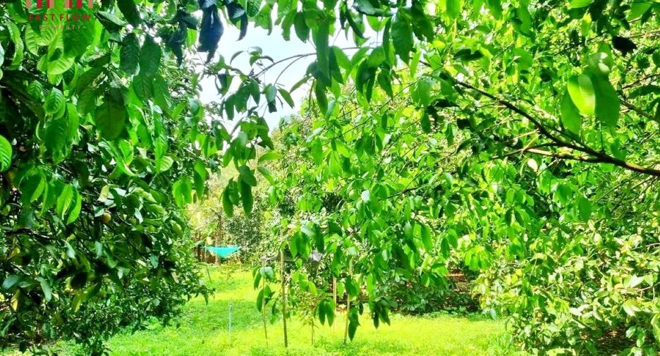 出售 土地 在 Mueang Prachin Buri, Prachin Buri