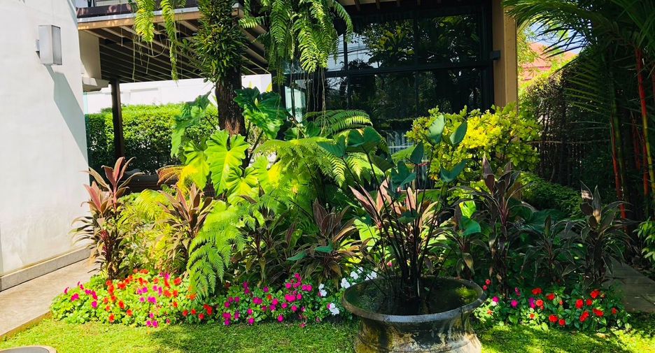 For sale 5 bedrooms house in Mueang Chiang Mai, Chiang Mai