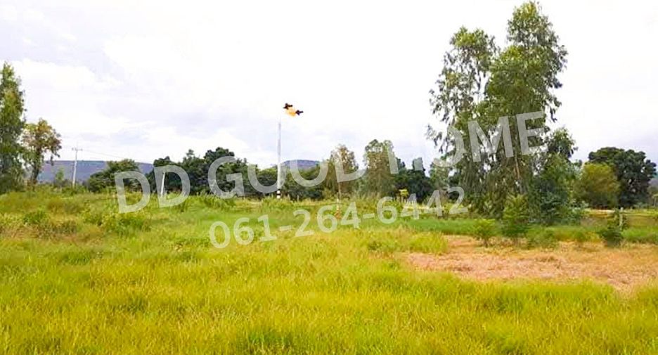 For sale land in Phatthana Nikhom, Lopburi