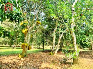 For sale land in Mueang Prachinburi, Prachin Buri