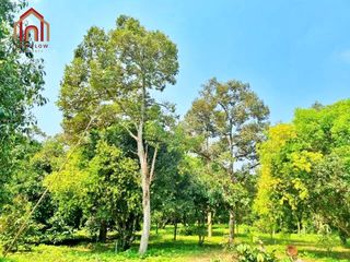 For sale land in Mueang Prachinburi, Prachin Buri