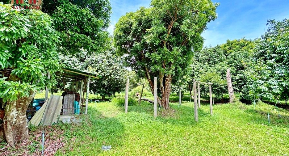 For sale land in Mueang Prachinburi, Prachin Buri