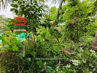 出售 土地 在 Damnoen Saduak, Ratchaburi