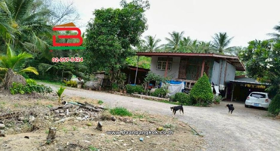 For sale land in Damnoen Saduak, Ratchaburi