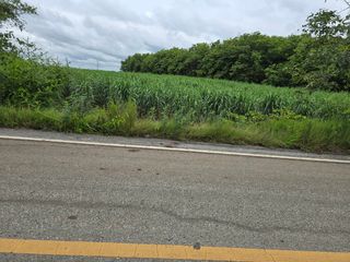 For sale land in Mueang Uttaradit, Uttaradit