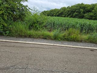 For sale land in Mueang Uttaradit, Uttaradit