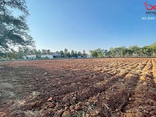 For sale land in Pak Chong, Nakhon Ratchasima