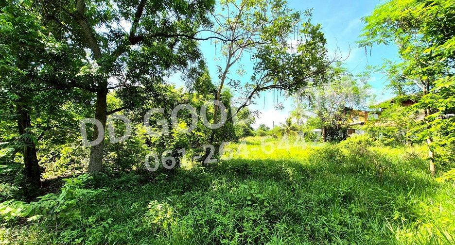 À vendre terrain à Non Thai, Nakhon Ratchasima