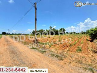 For sale land in Dan Khun Thot, Nakhon Ratchasima