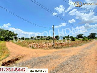 For sale land in Dan Khun Thot, Nakhon Ratchasima