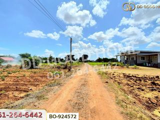 For sale land in Dan Khun Thot, Nakhon Ratchasima
