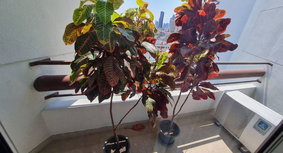 Apartment zur Miete mit 3 Zimmer in Bang Rak, Bangkok