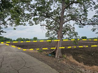 For sale land in Mueang Lop Buri, Lopburi