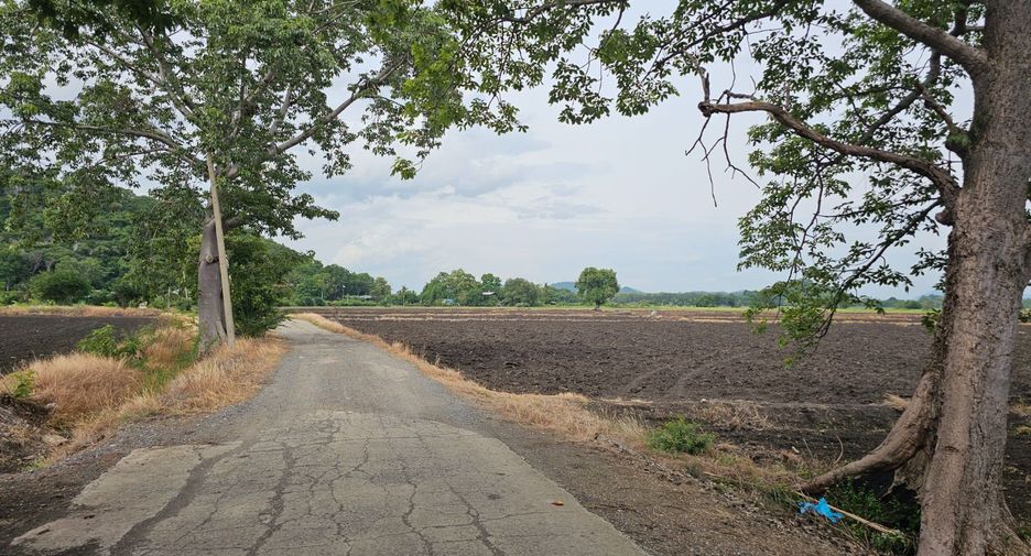 For sale land in Mueang Lop Buri, Lopburi