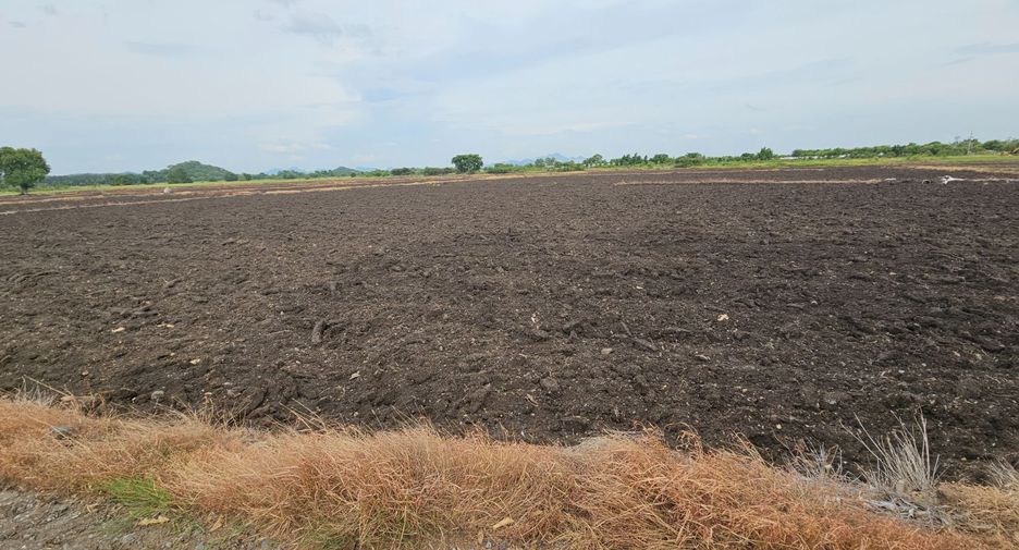 For sale land in Mueang Lop Buri, Lopburi