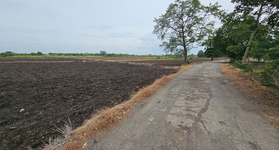 For sale land in Mueang Lop Buri, Lopburi