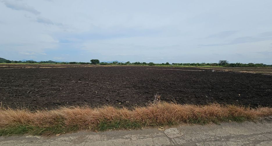 For sale land in Mueang Lop Buri, Lopburi