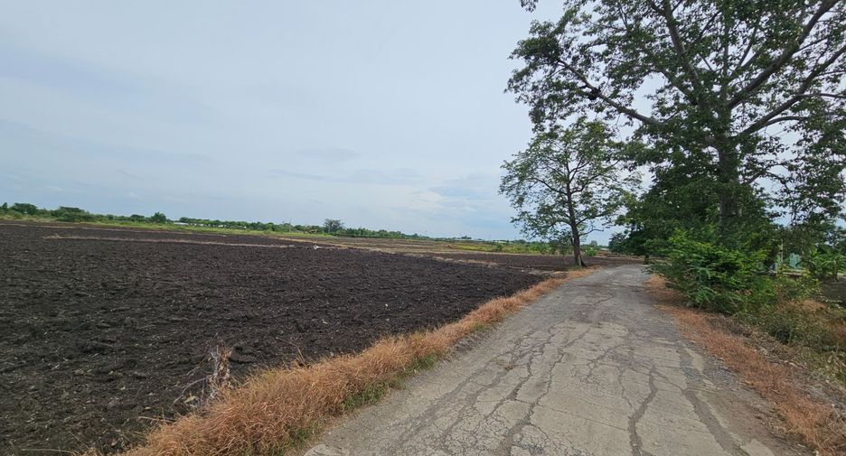 For sale land in Mueang Lop Buri, Lopburi