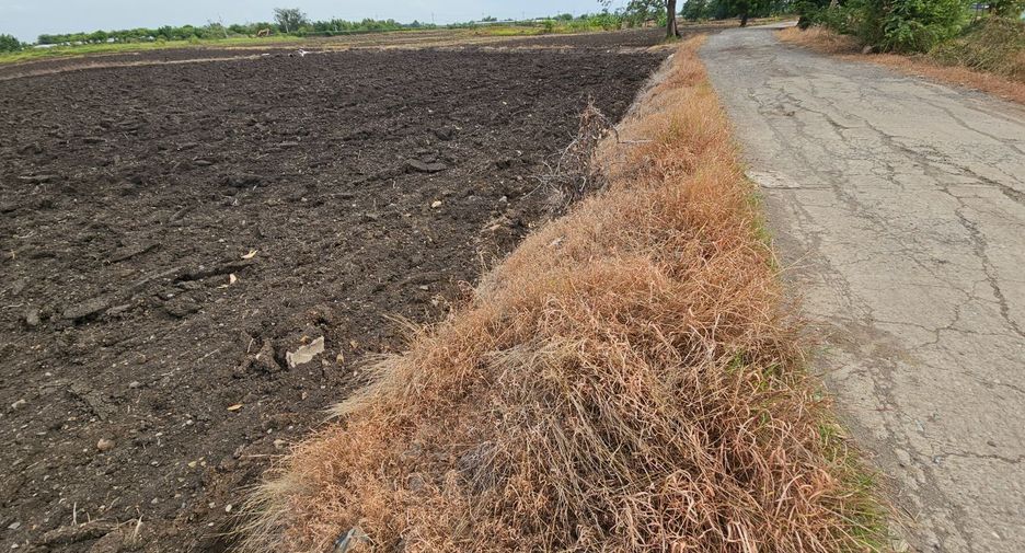 For sale land in Mueang Lop Buri, Lopburi