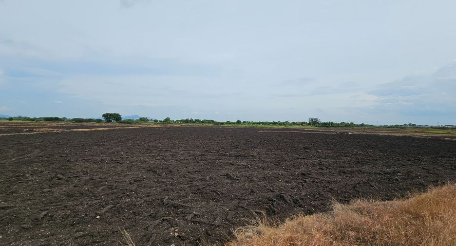 For sale land in Mueang Lop Buri, Lopburi