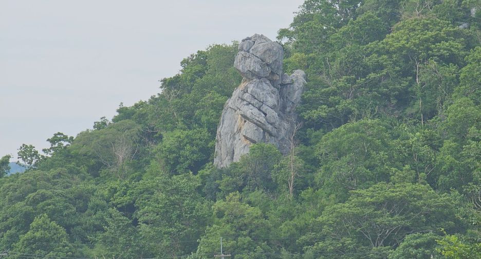 For sale land in Mueang Lop Buri, Lopburi