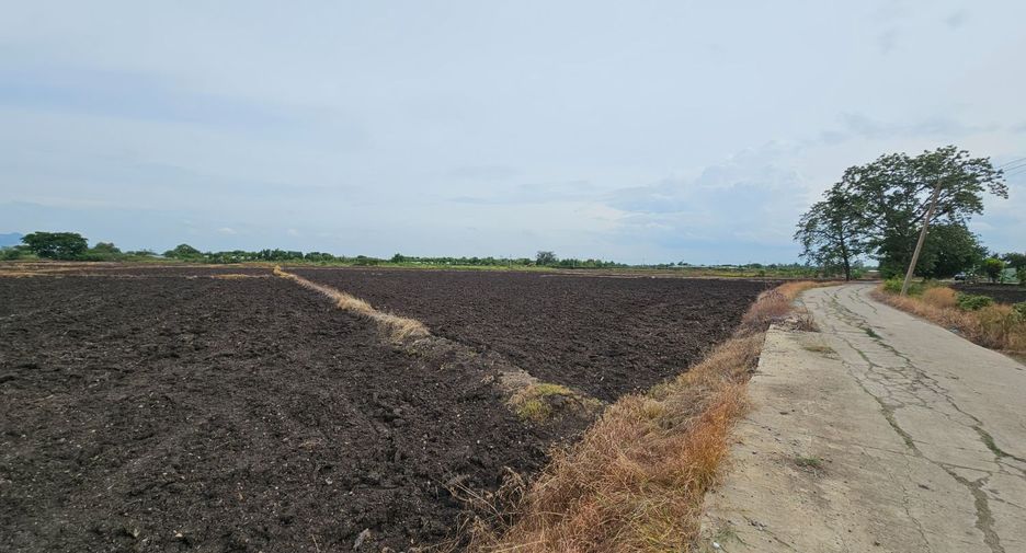 For sale land in Mueang Lop Buri, Lopburi