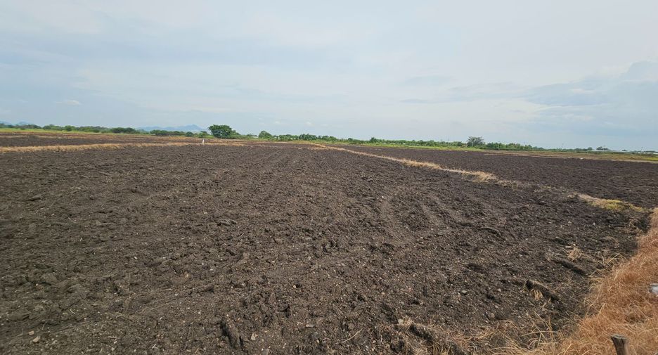 For sale land in Mueang Lop Buri, Lopburi