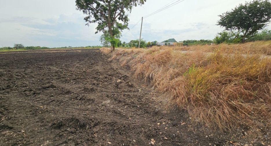 For sale land in Mueang Lop Buri, Lopburi