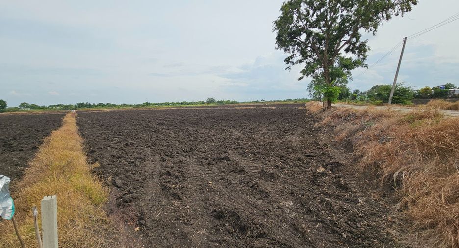 For sale land in Mueang Lop Buri, Lopburi
