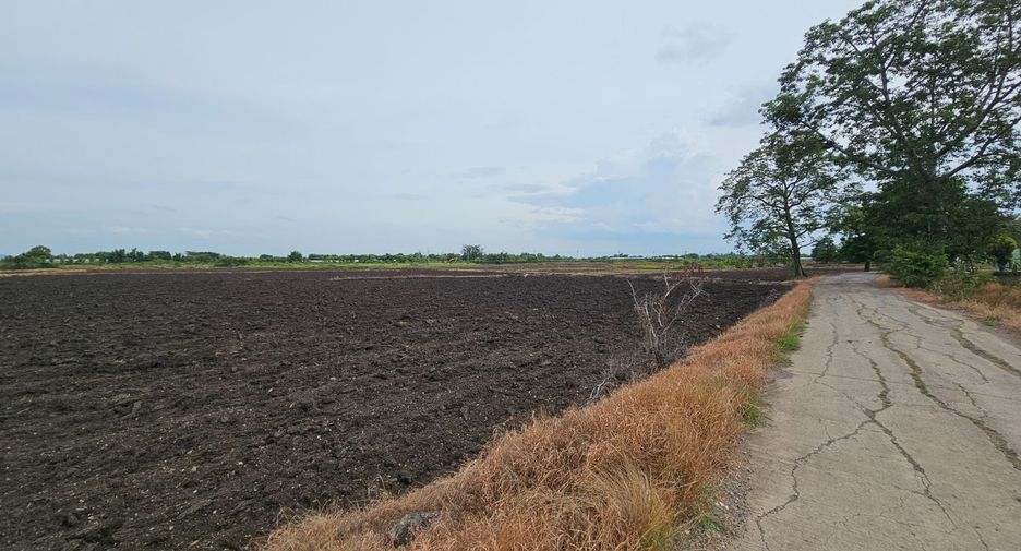 For sale land in Mueang Lop Buri, Lopburi