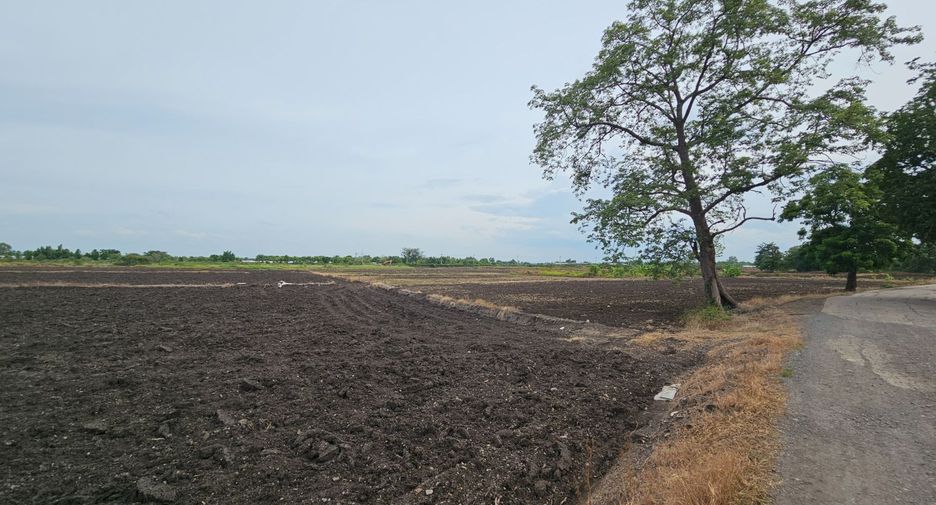 For sale land in Mueang Lop Buri, Lopburi