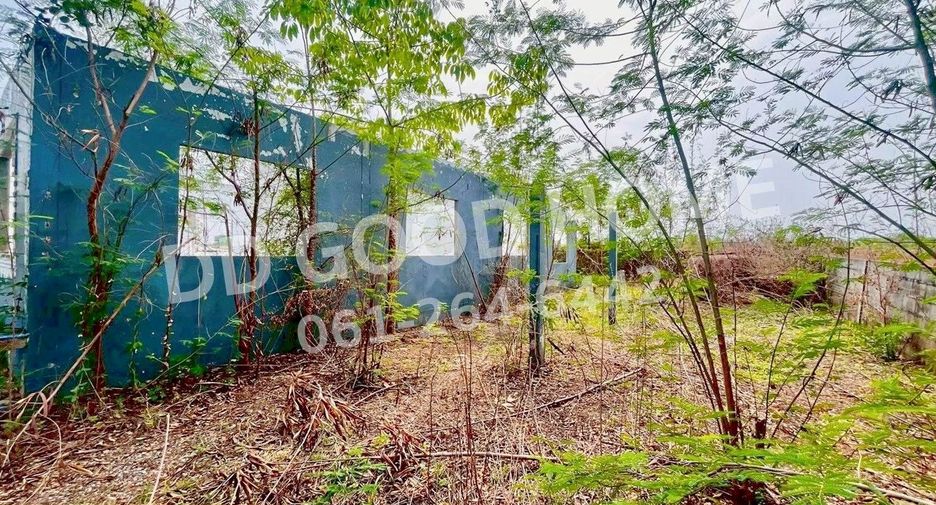 For sale land in Khao Suan Kwang, Khon Kaen