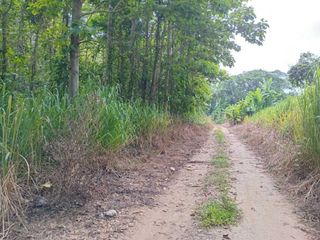 ขาย ที่ดิน ใน แม่สรวย, เชียงราย